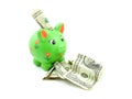 Green piggy bank with dollars