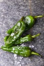 green pimientos de padron Royalty Free Stock Photo