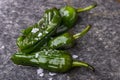 green pimientos de padron Royalty Free Stock Photo