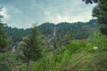 Green pine on a background gray clouds and waterfall