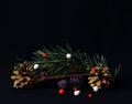 Green pine branch, multi-colored decorative balls and fir cones on black background. Symbolic concept Christmas, New Year, Royalty Free Stock Photo