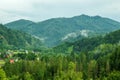 Green pine forest in the Carpathian mountains. The village is lost in the woods, light smoke fog spreads between the mountains Royalty Free Stock Photo