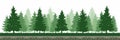 Pine Tree Forest Environment Royalty Free Stock Photo