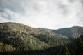 Green pine trees and hills landscape in Poland. Royalty Free Stock Photo