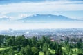 Green pine trees with misty Bandung cityscape