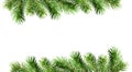 Green pine twigs for Christmas borders Royalty Free Stock Photo