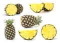 Set green pineapple isolated on white background