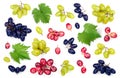 green pink and blue grapes with leaves isolated on the white background. Top view. Flat lay pattern Royalty Free Stock Photo