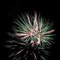 Green and pink fireworks Royalty Free Stock Photo