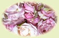 green pink white graphic design. bouquet of old roses Royalty Free Stock Photo