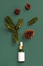 Dropper Bottle near fir branches and pine cones on green top view. Brand packaging mockup