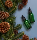 Dropper Bottles near fir branches and pine cones on blue top view. Brand packaging mockup