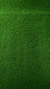 Green pitch perfection Soccer field with vibrant artificial grass texture