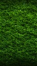 Green pitch perfection Soccer field with vibrant artificial grass texture