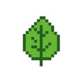 Green pixel art leaf with a simplified design on a white background. The leaf is Royalty Free Stock Photo