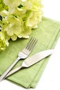 Green place setting informal