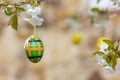 Plaid Egg (low DOF) Royalty Free Stock Photo