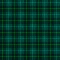 Green plaid fabric seamless pattern