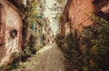 Green plands and old houses in narrow streets of an ancient Turkish city Royalty Free Stock Photo