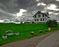 House with a green lawn