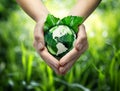 Green planet in your heart hands - usa