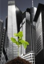 Green plant against Skyline Royalty Free Stock Photo