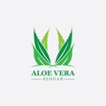 Green plant aloe vera logo vector icon symbol many benefits