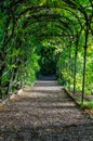 A green plant arch with a path leading through Royalty Free Stock Photo