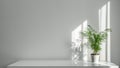 Houseplant Areca in a white pot on a table on a white wall background