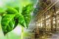 A green plant on the background of an old abandoned industrial workshop .