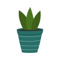 Green plant in blue ceramic flowerpot. Houseplant in doodle style.