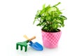 Green plant with blue shovel and green rake