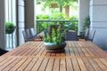 Green Plant in Ceramic Vase on Wooden Table on Outdoor Patio