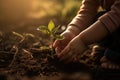 Green plant in a child hands Life in your hands Royalty Free Stock Photo