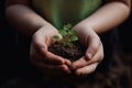 Green plant in a child hands Life in your hands Royalty Free Stock Photo