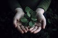 Green plant in a child hands Life in your hands Royalty Free Stock Photo