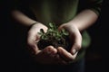 Green plant in a child hands Life in your hands Royalty Free Stock Photo
