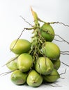 Green plant coconut stem Royalty Free Stock Photo