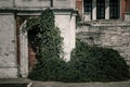 A green plant covers the facade of an abandoned building. Old stairs. Royalty Free Stock Photo