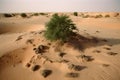 A green plant in the desert. Climate change with desertification process. Generated AI