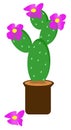 summer green isolation gentle drawing wallpaper cactus