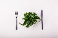 Green plant and diet Royalty Free Stock Photo