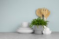 Green plant and different kitchenware on table near color wall. Modern interior design