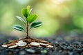 A green plant emerges from a mound of coins in an inspiring display of growth and prosperity, Money tree growing from coins, AI Royalty Free Stock Photo