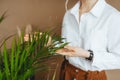 Green plant in female hands. Green home fern. Closeup Royalty Free Stock Photo