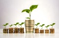 green plant growing on golden coins stacks on white background Royalty Free Stock Photo