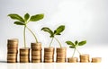 green plant growing on golden coins stacks on white background Royalty Free Stock Photo