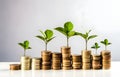 green plant growing on golden coins stacks on white background Royalty Free Stock Photo