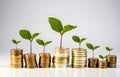 green plant growing on golden coins stacks on white background Royalty Free Stock Photo