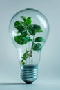 Green plant growing in the light bulb at the blue background Royalty Free Stock Photo